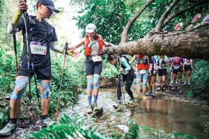 BIB: 
                            <button type="button" onclick="openModal(25514537)" class="btn btn-primary btn-sm float-right btn-popup" data-toggle="modal" data-target=".modal-high-quality">
                        <i class="fas fa-shopping-cart"></i> Add to Cart
                    </button>
                                            <button type="button" onclick="isThisMe(25514537, true)" class="btn btn-success btn-sm float-right btn-popup btn-isme hidden" data-toggle="tooltip" data-placement="bottom" title="นี่คือรูปของคุณใช่ไหม คลิกที่นี่เพื่อเอาเข้าอัลบั้ม">
                        <i class="fas fa-plus"></i> Add to album
                    </button>
                    <button type="button" onclick="isThisMe(25514537, false)" class="btn btn-warning btn-sm float-right btn-popup btn-isnotme hidden">
                        <i class="fas fa-ban"></i> Remove from album
                    </button>